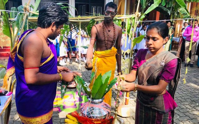 තෛපොංගල් උත්සවය 2020